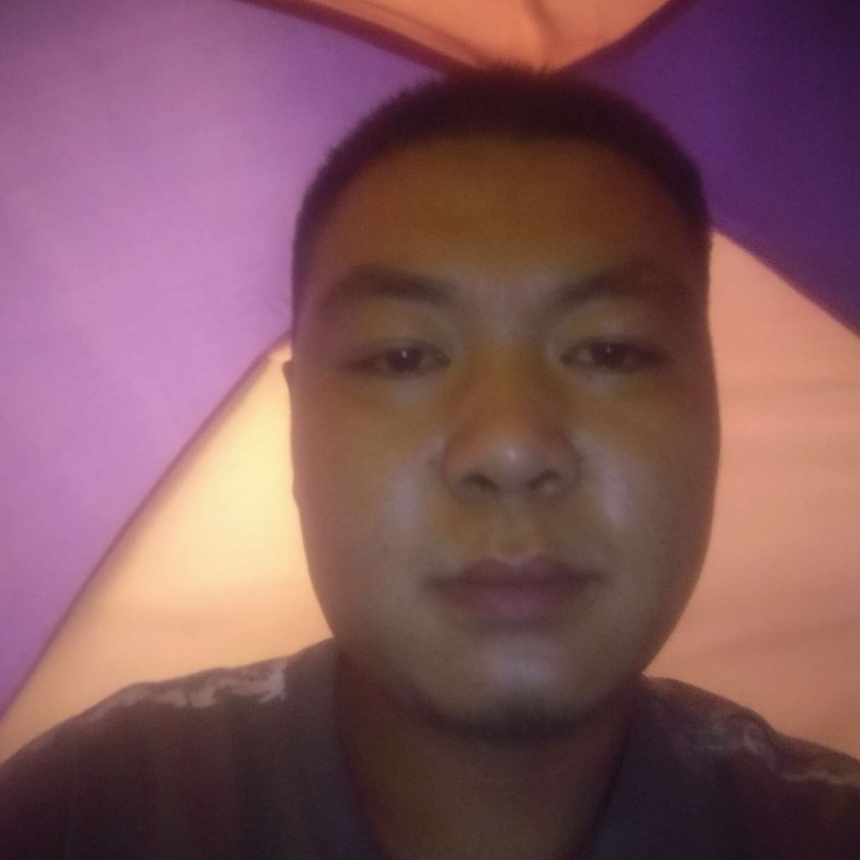 单纯改变豌豆的照片