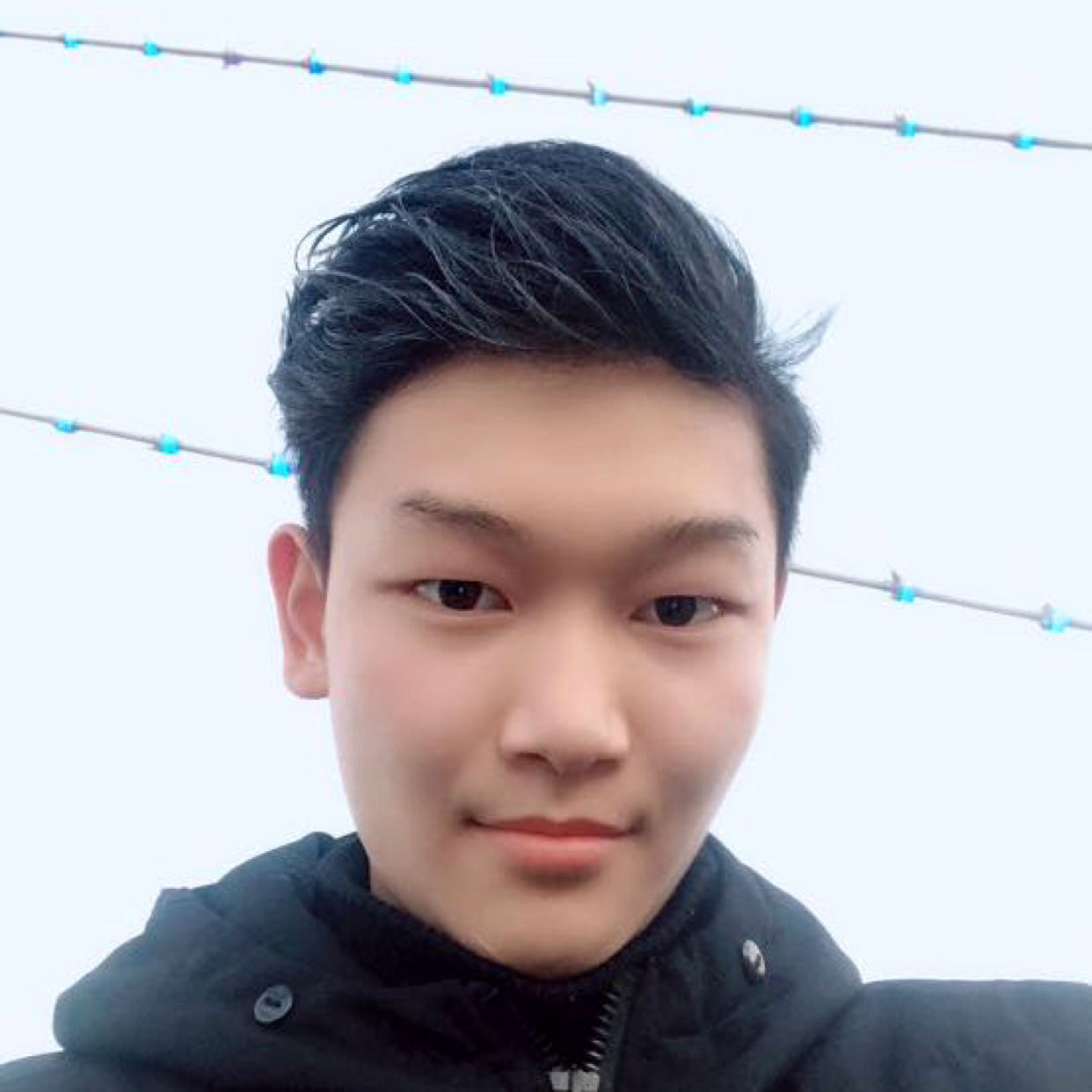 sm绳艺的照片