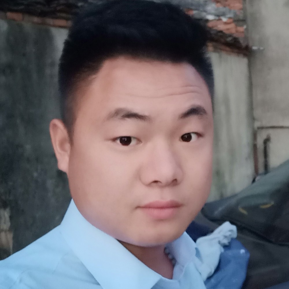 闪闪奇异果的照片