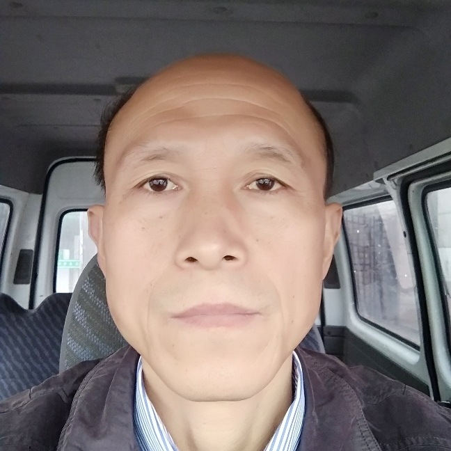 斯文演变钢笔的照片