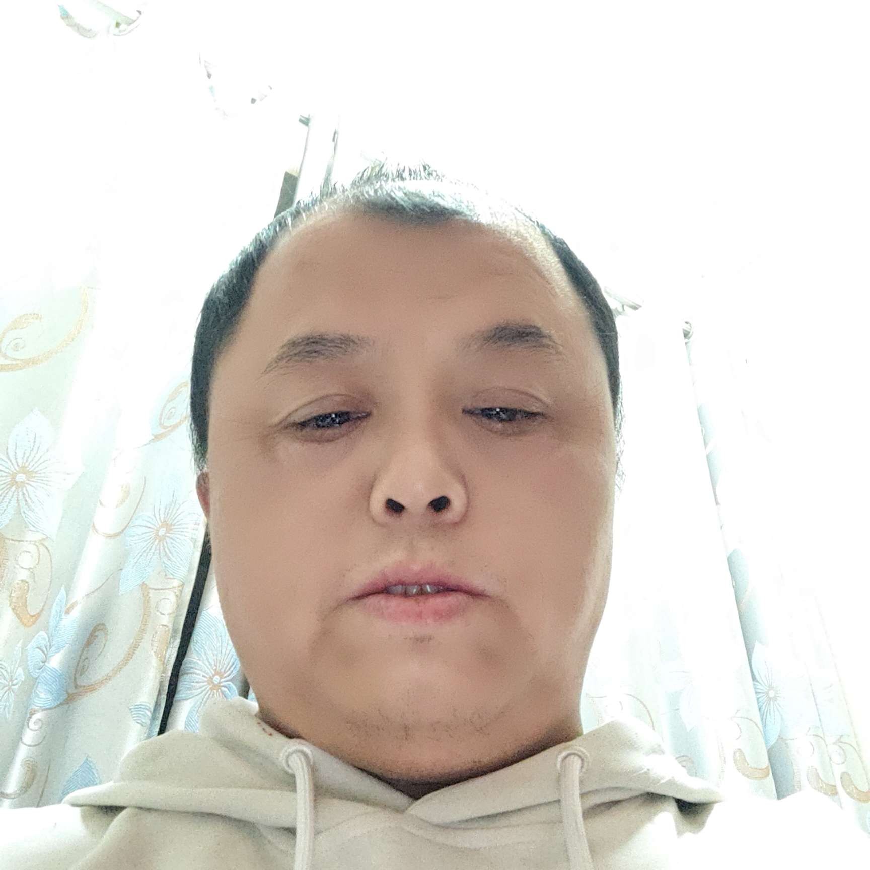 自由飞翔，开心果的照片