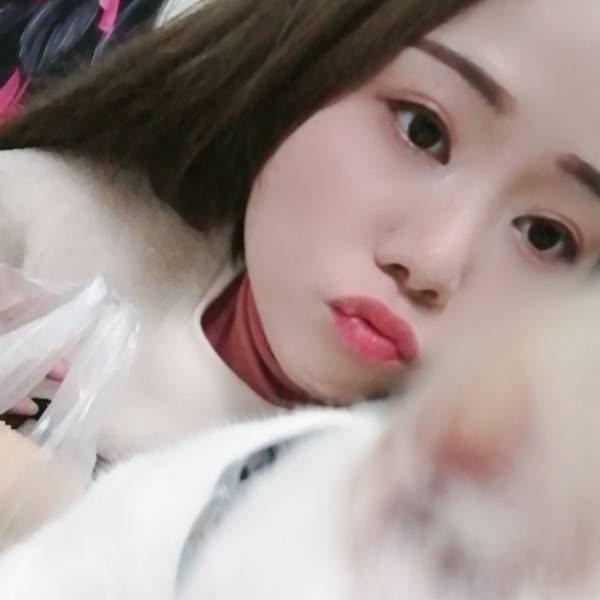 柚子吃醋不听话的的照片