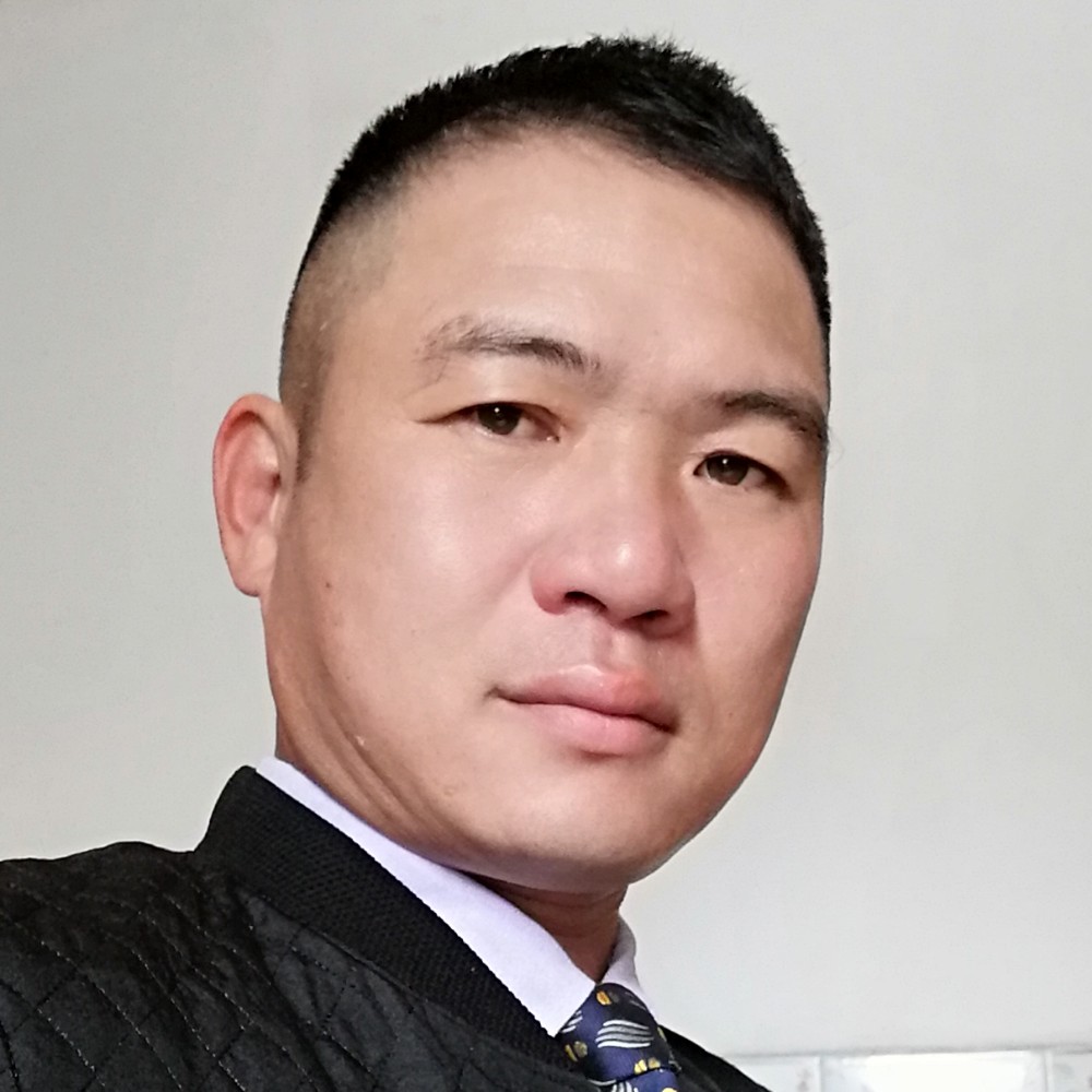 激情停止鸵鸟的照片