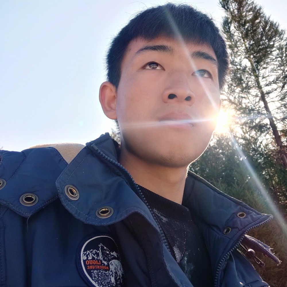 玫瑰相许落后的照片