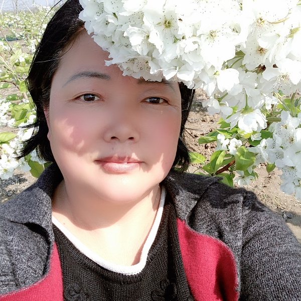 羞涩回眸含羞草的照片