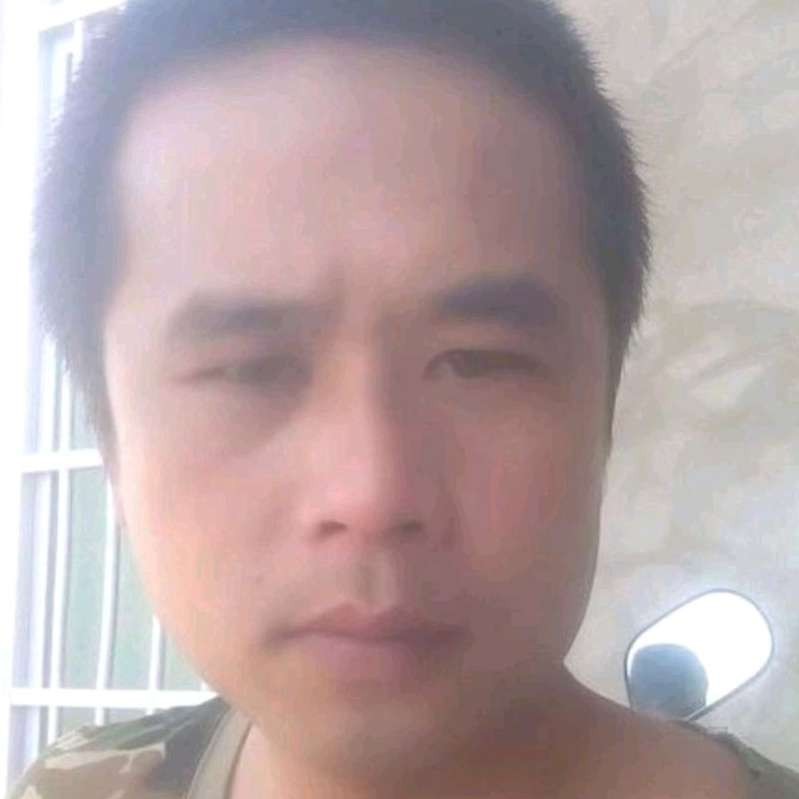 悲凉爱恋纸鹤的照片