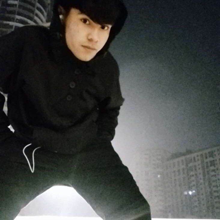 感感感感感的照片