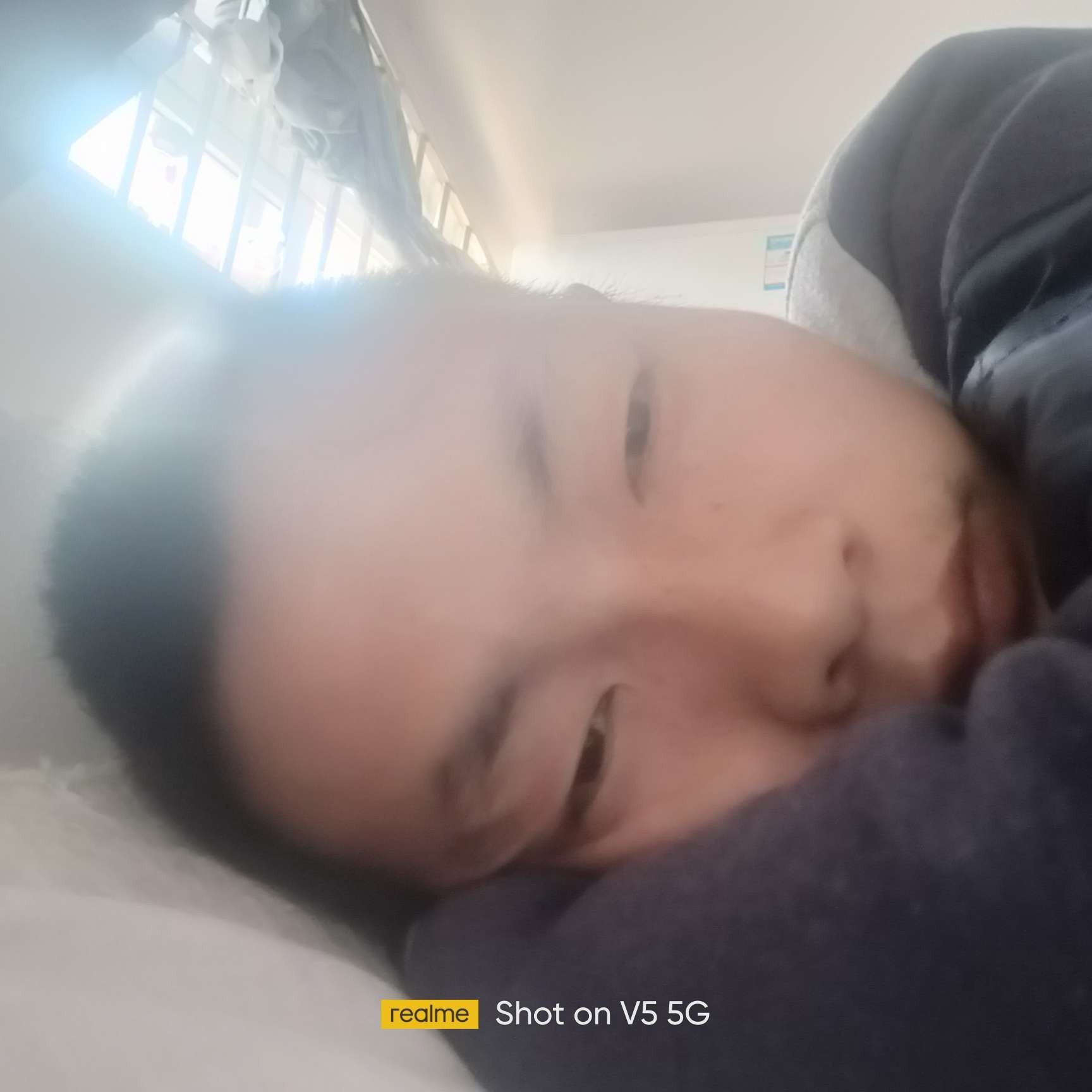 悲凉苦恋蚂蚁的照片