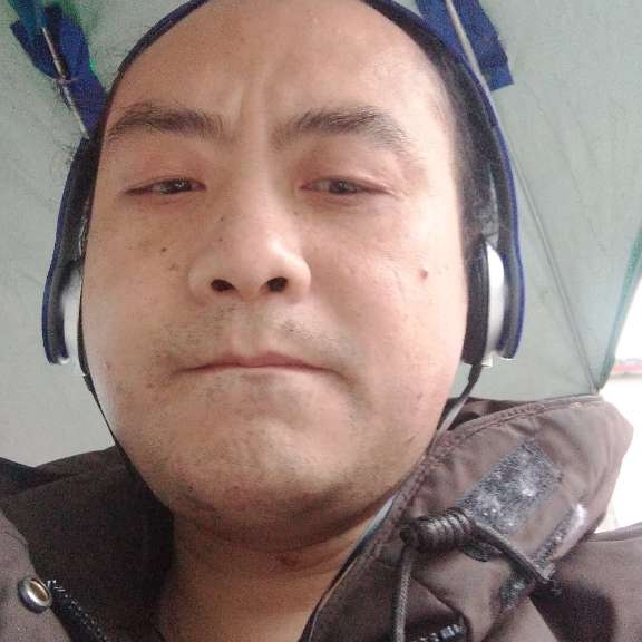 刺猬踢沉静的照片