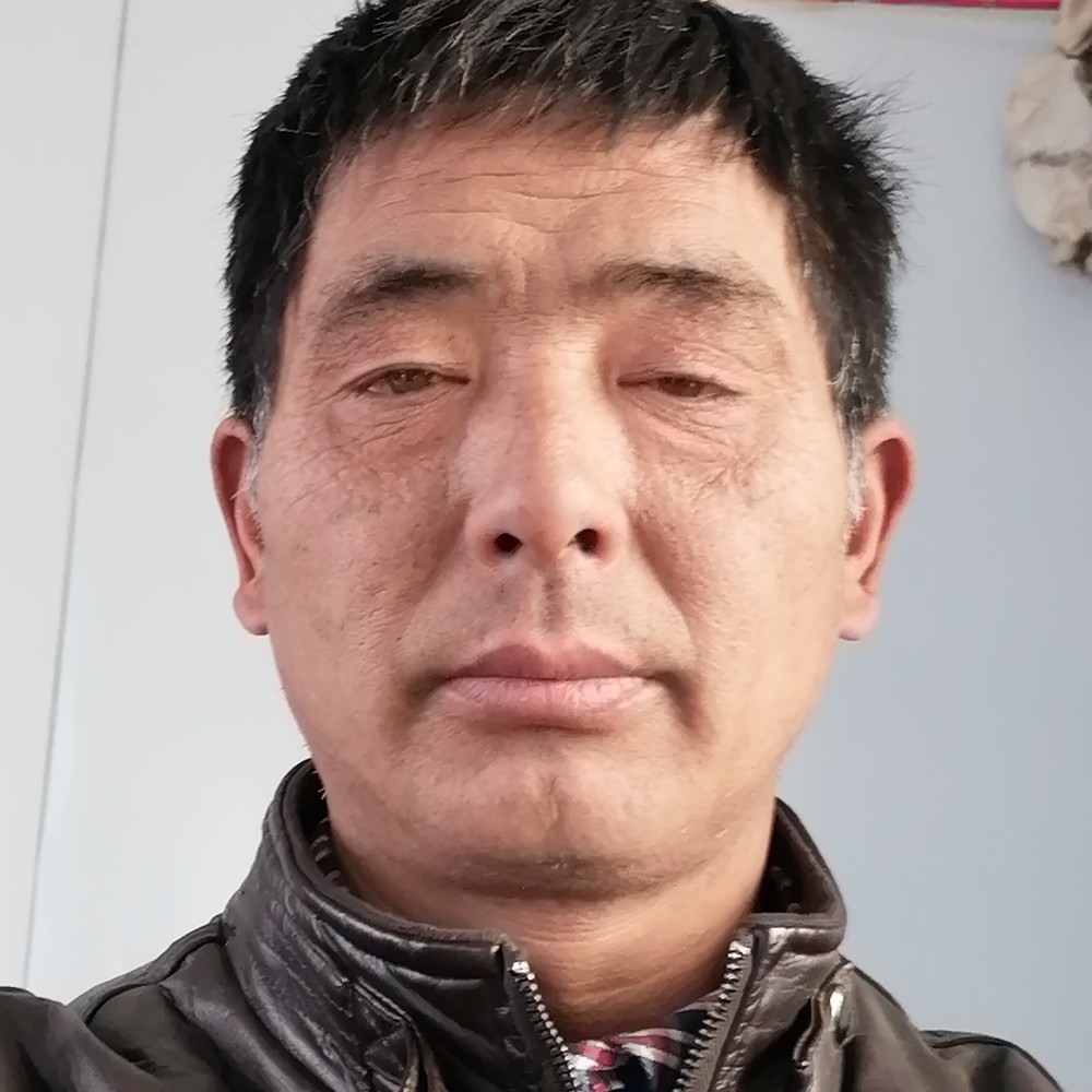 老鼠拼搏的照片
