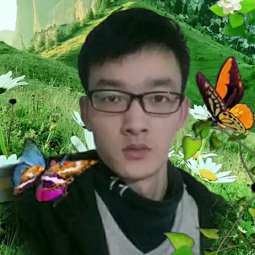 鼠标多么魔幻的照片
