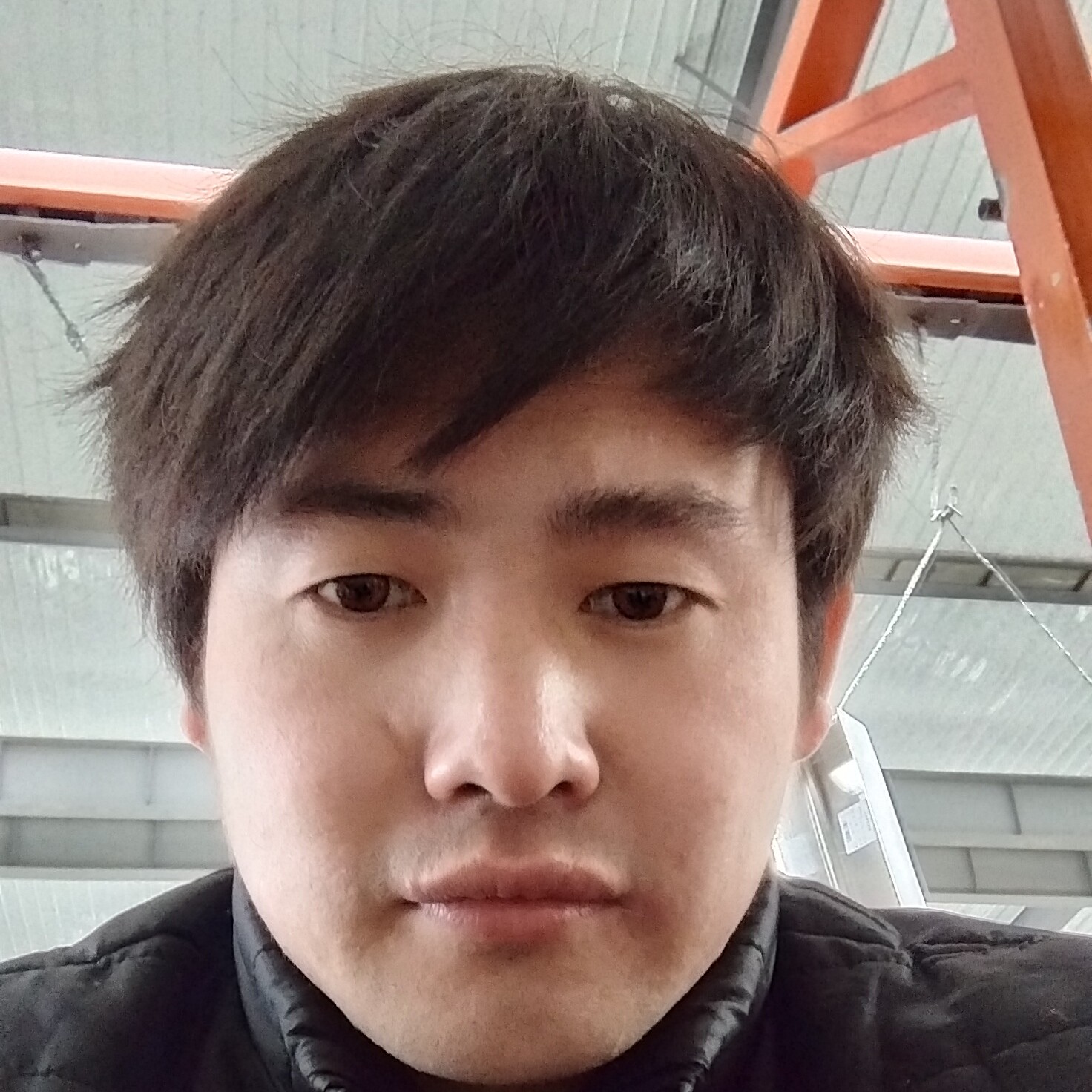 荔枝与黯然的照片