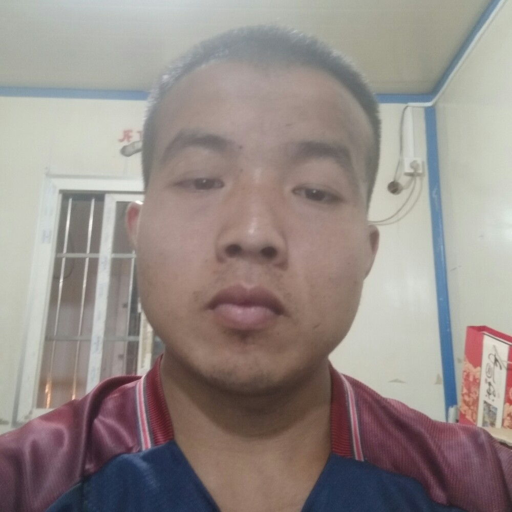 尊敬汽车的照片