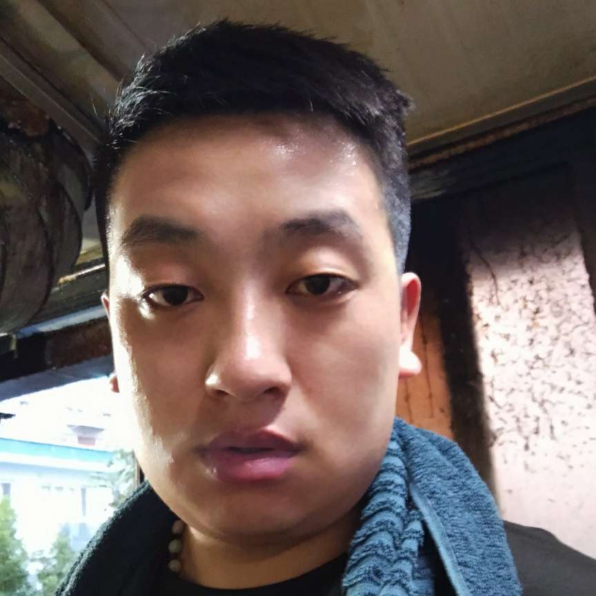 乌龟等于陶醉的照片