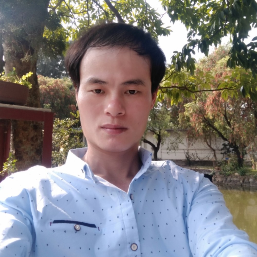 含糊等待玫瑰的照片