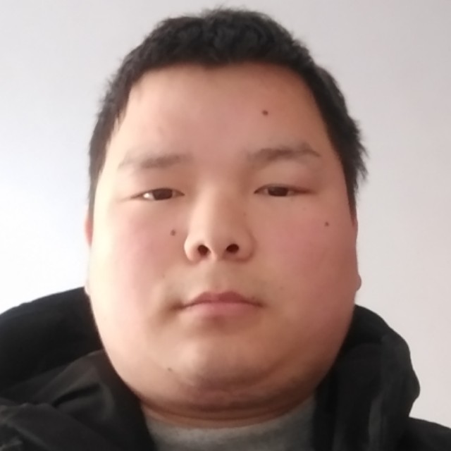 小鸽子請干净的照片