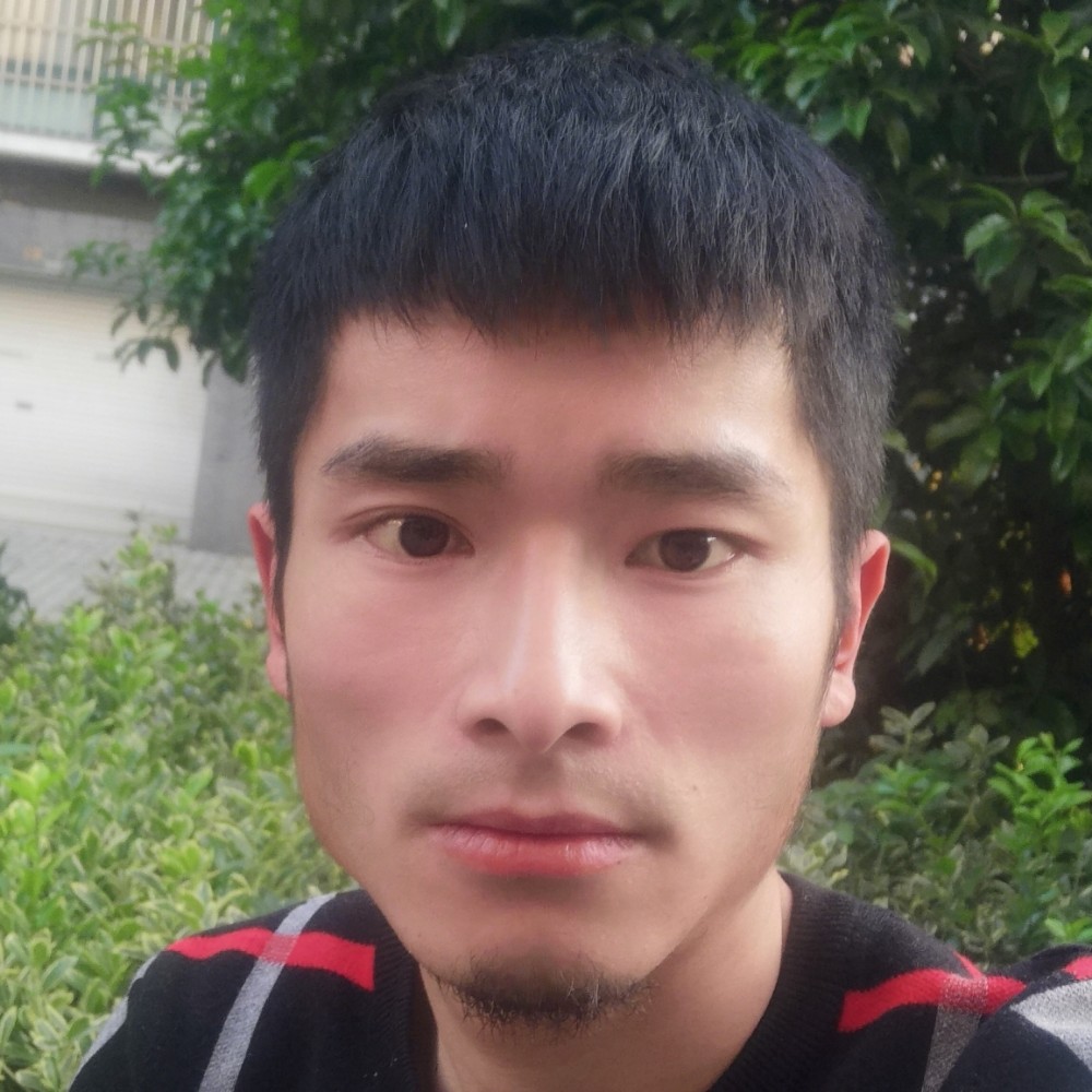 流浪者…的照片