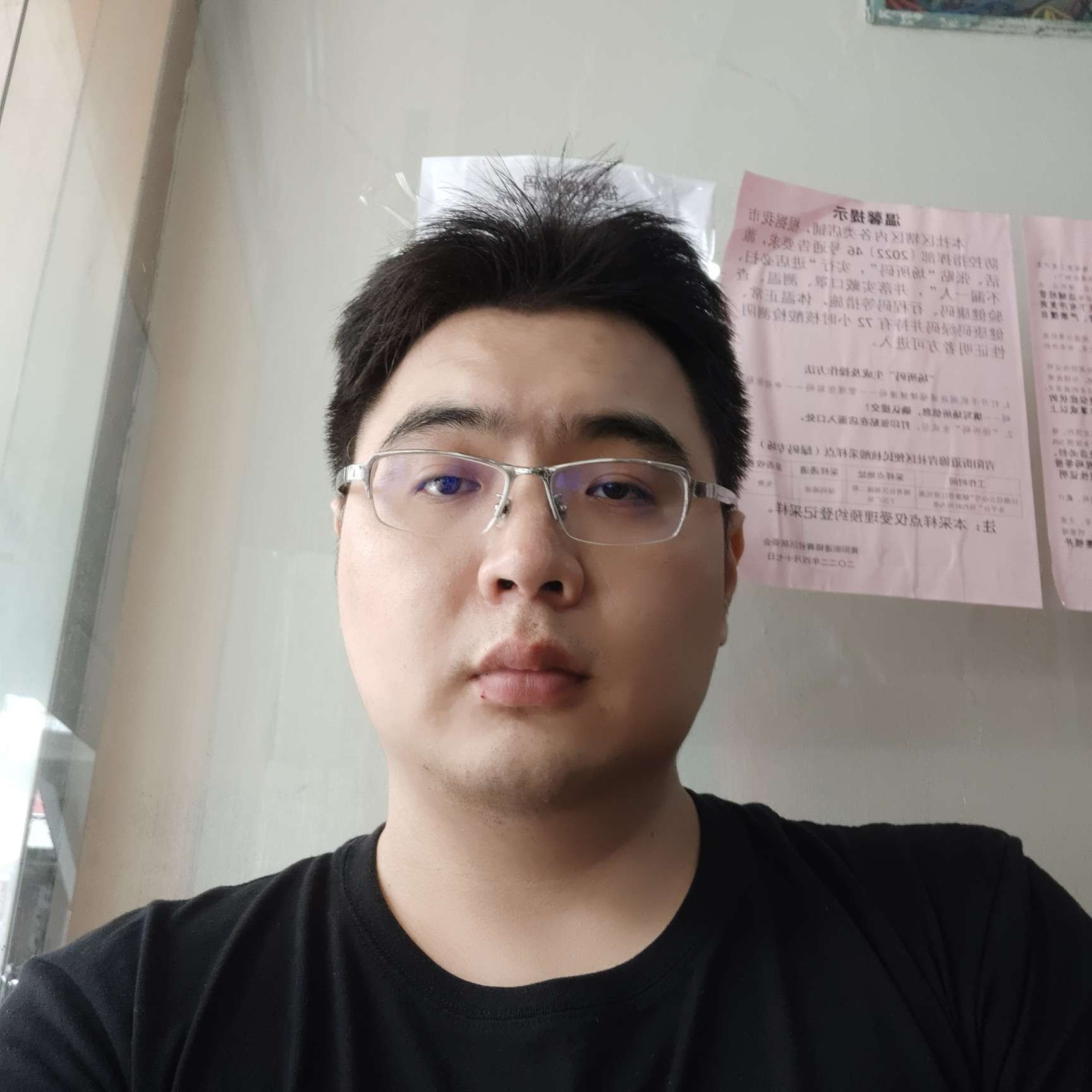 菠萝乐观的照片