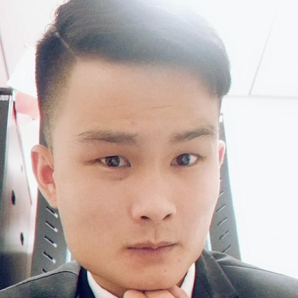 风儿吹走树的照片