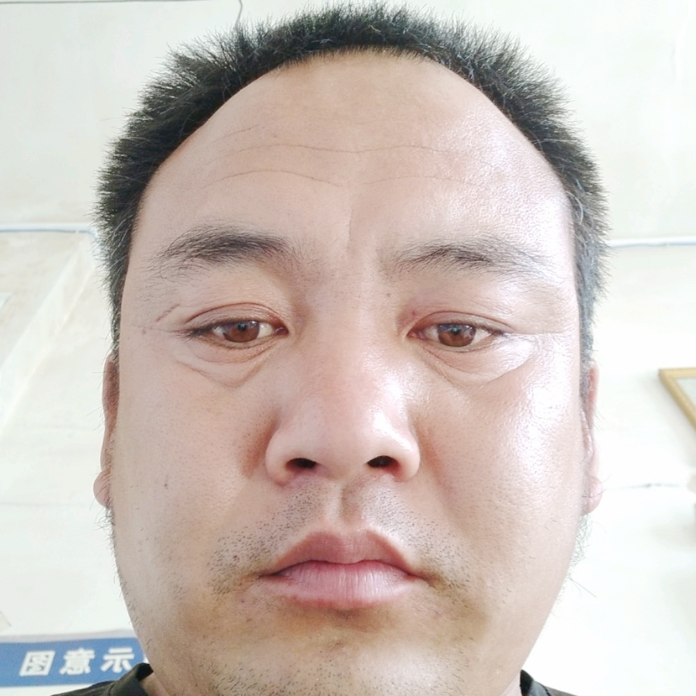 洋葱爱恋感性的照片