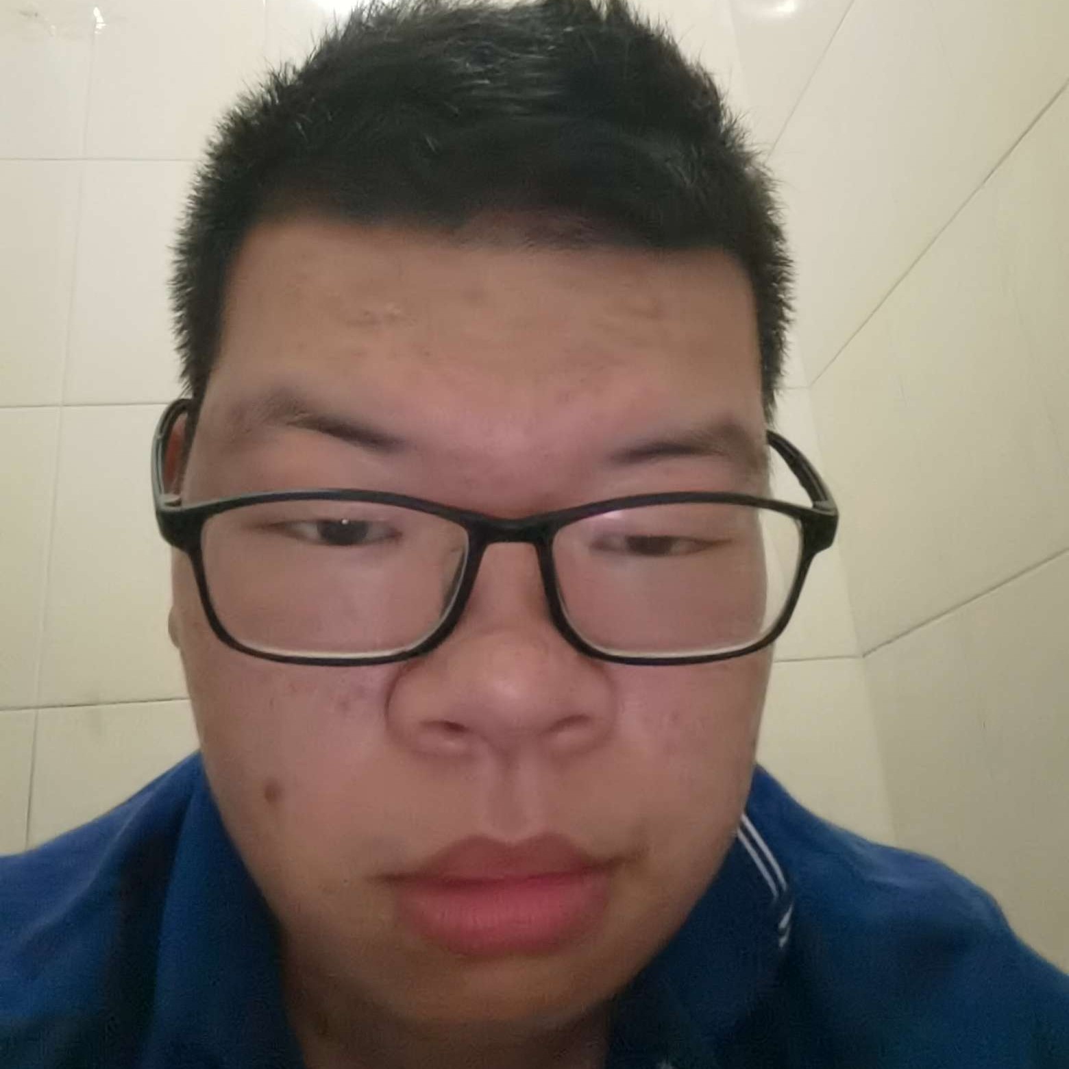 鳗鱼蹙眉摩托的照片