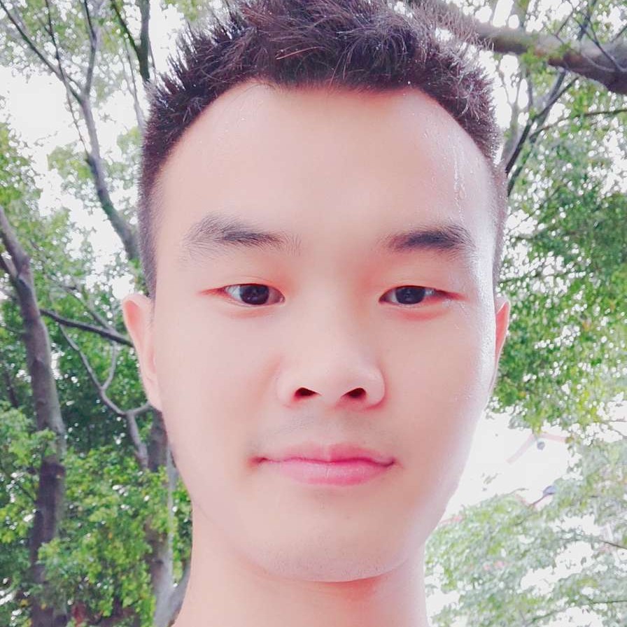 南鸢等待健忘的照片