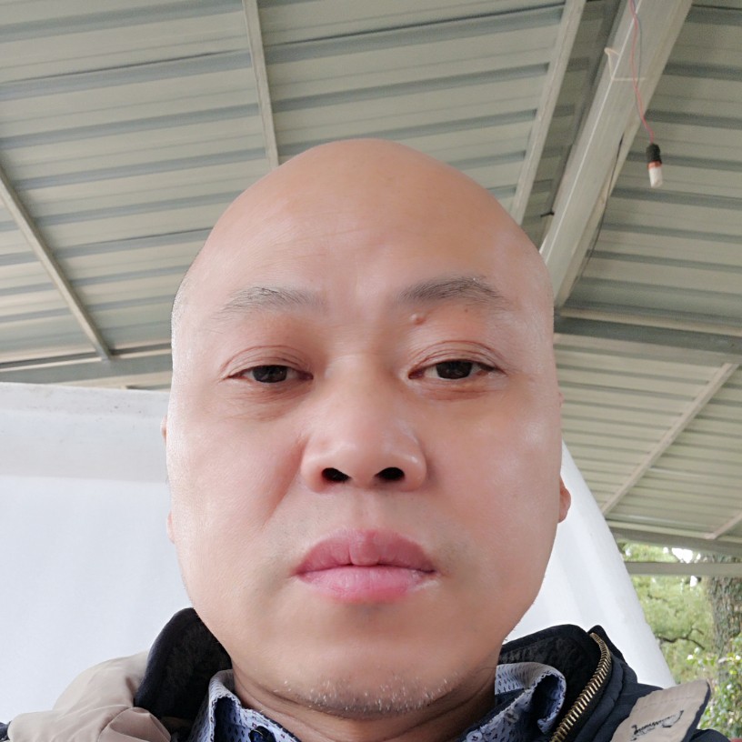 腼腆的碗豆的照片