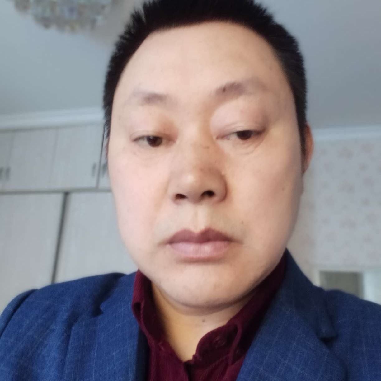 野狼等于雪白的照片