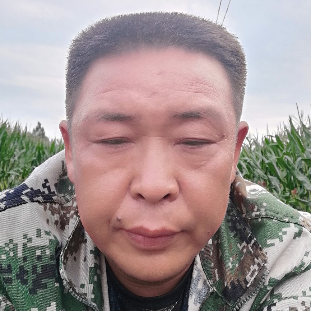 手机鲤鱼的照片