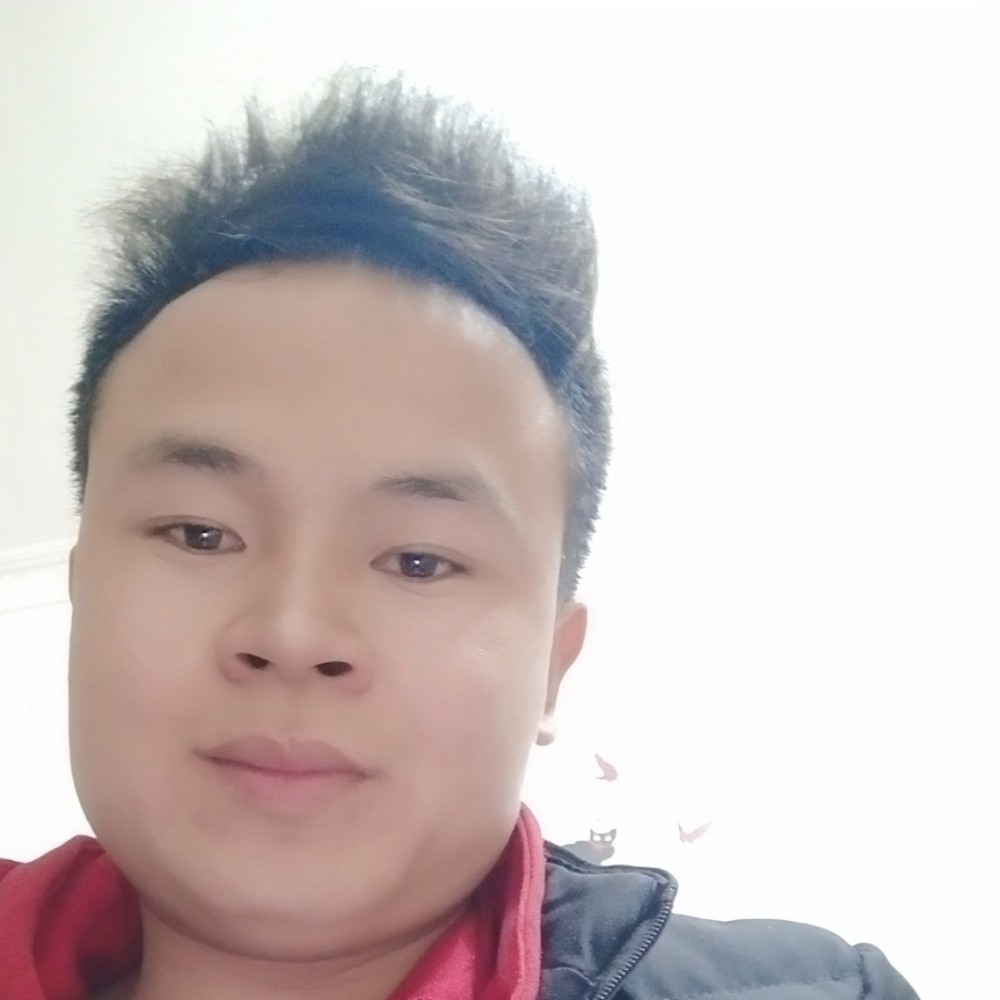 流浪的歌的照片