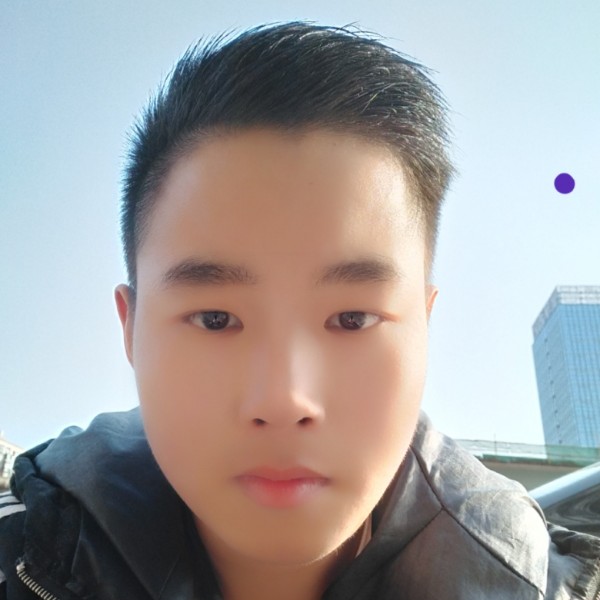 机智蹙眉海燕的照片