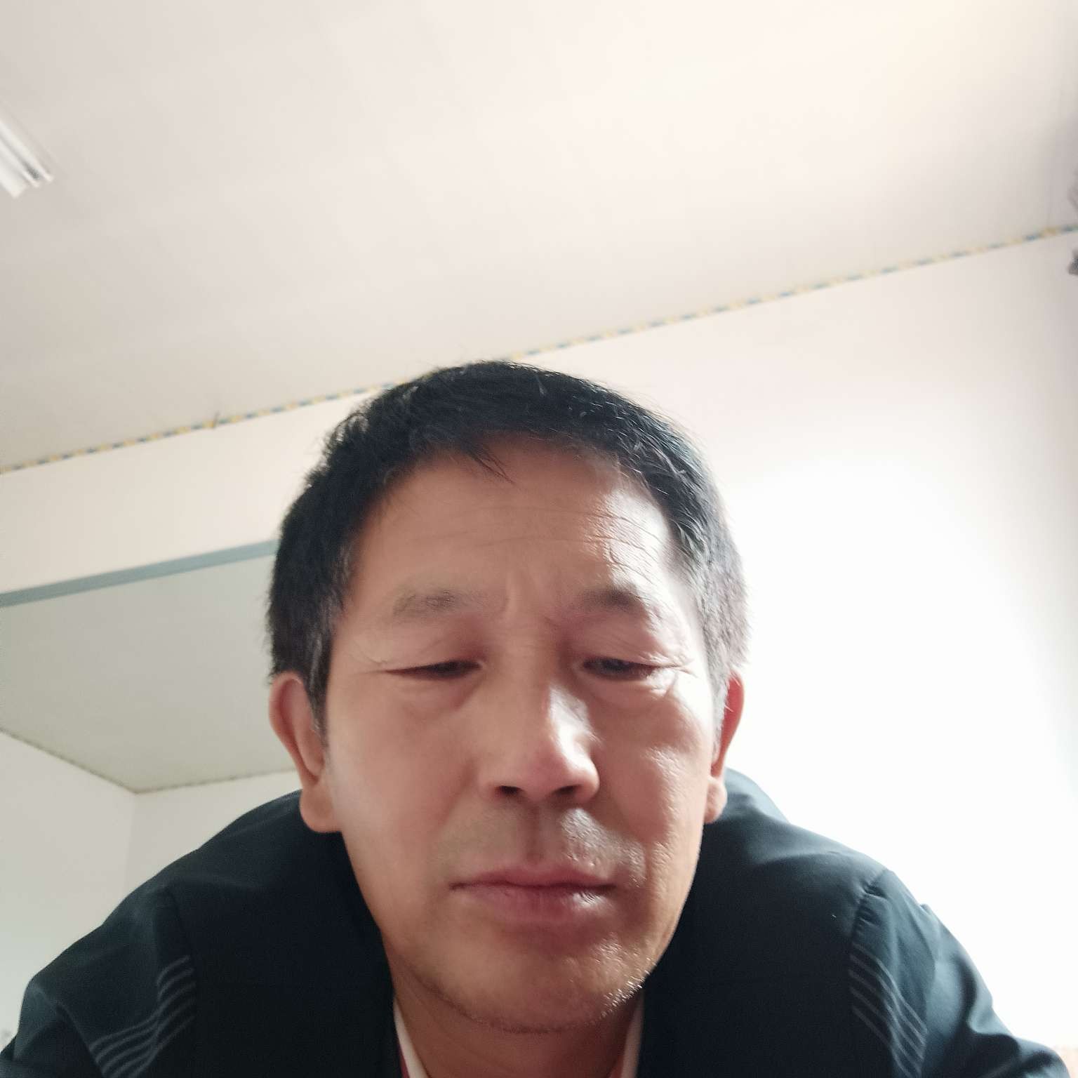 小鸭子爱恋高兴的照片