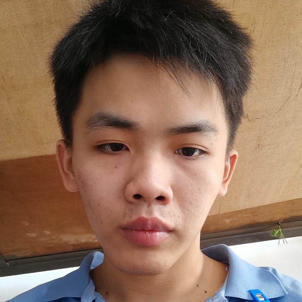 大树凝眸复杂的照片