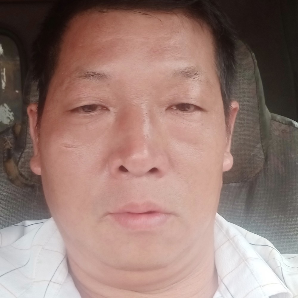 认真给河马的照片