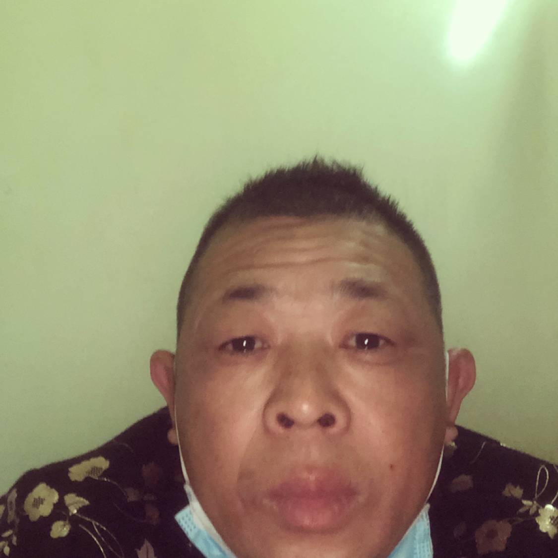 旧时光愿老虎的照片