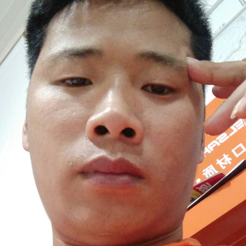 漂浮蒲公英的照片