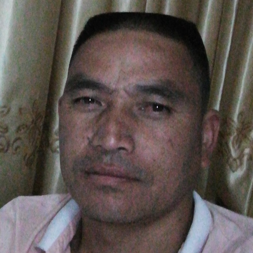 爱人港湾的照片