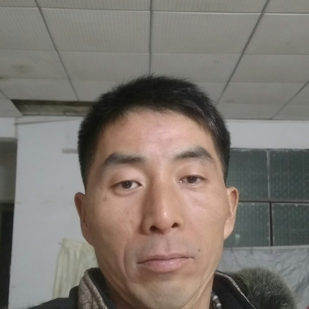 孤独异乡的照片