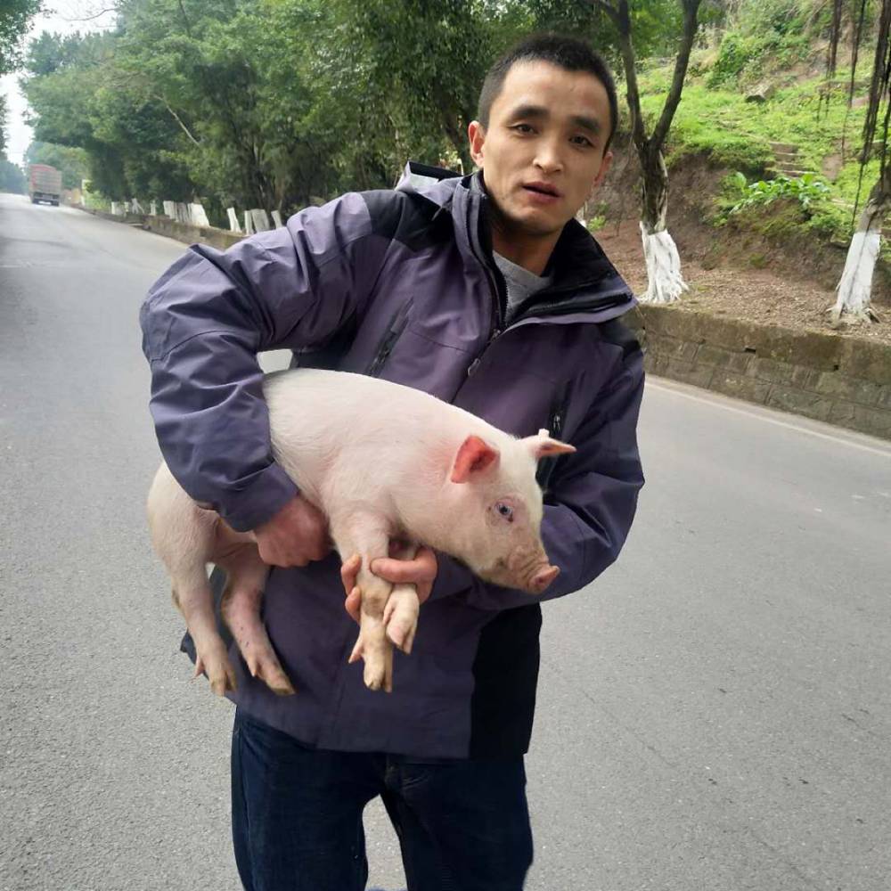 会员569396830的照片