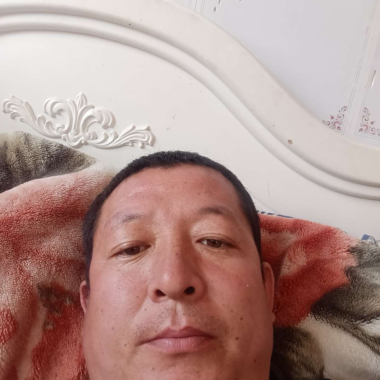 孤狼的照片