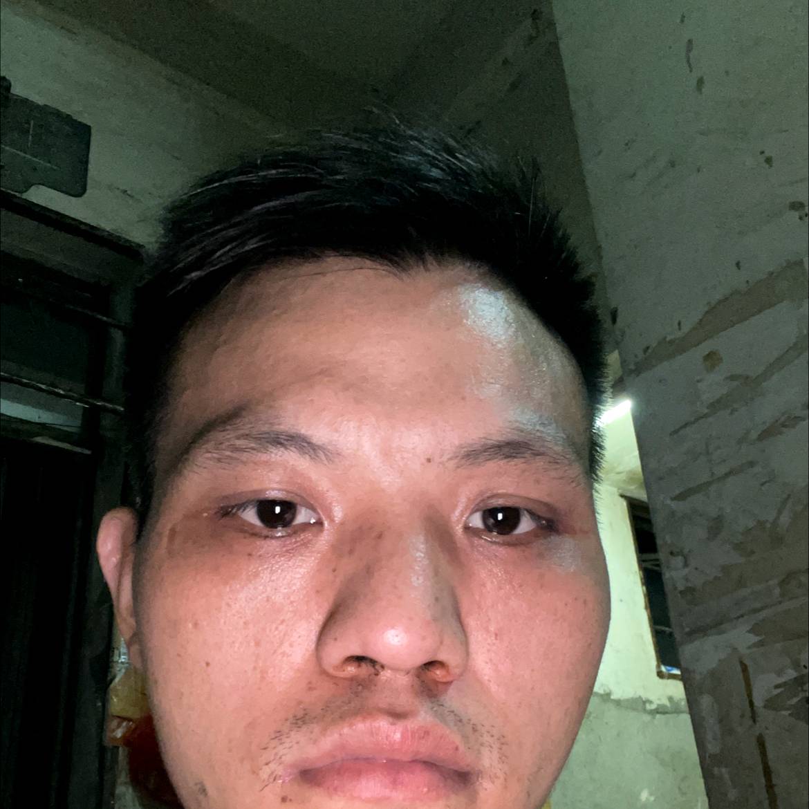 魁梧爱灰狼的照片