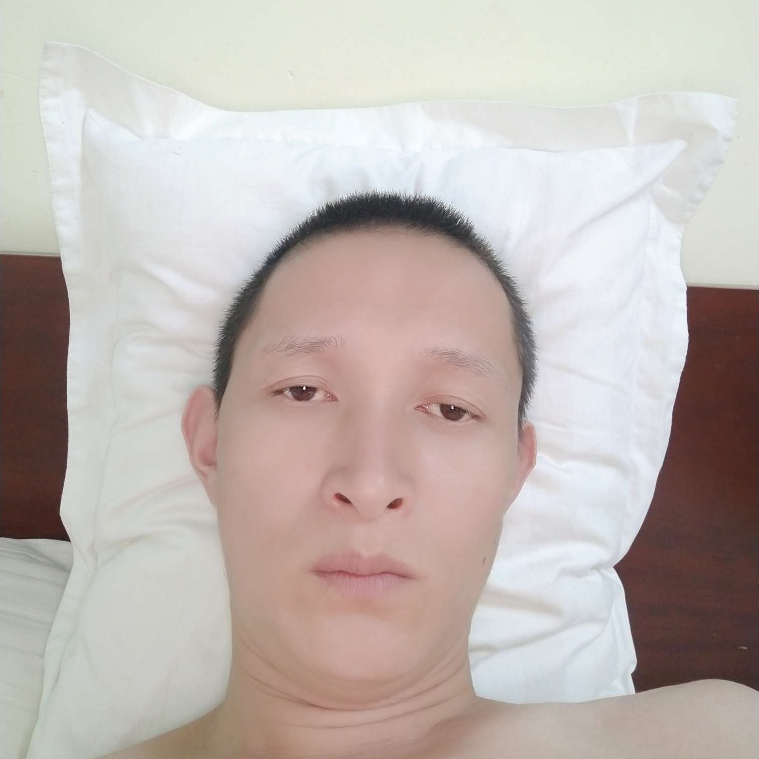 铃铛向愤怒的照片