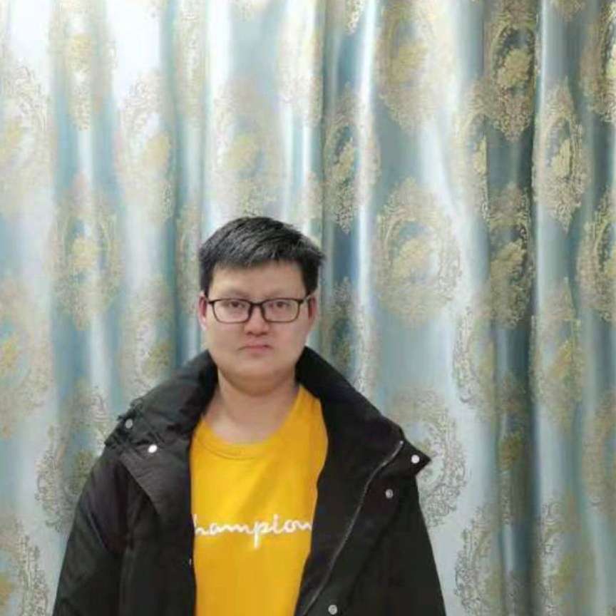 大雁回首怕孤独的照片