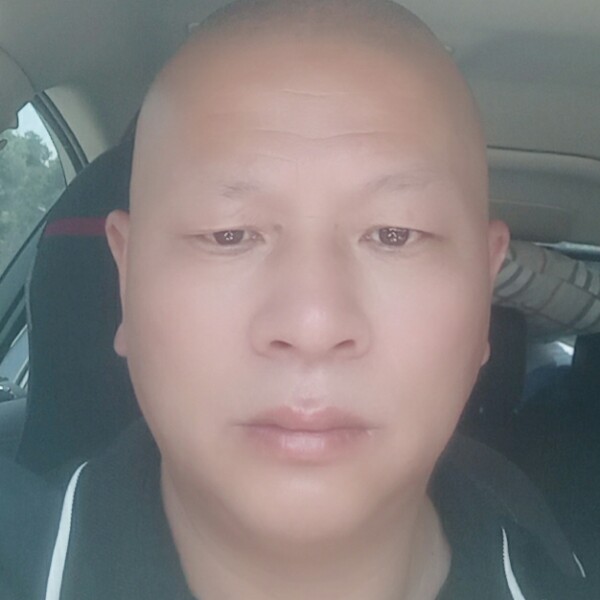 芹菜蹙眉糟糕的照片