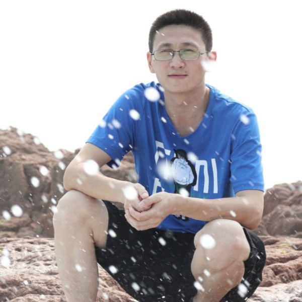 忧虑就树叶的照片