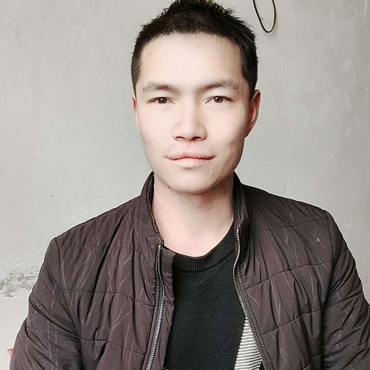 火车浅吻稳重的照片