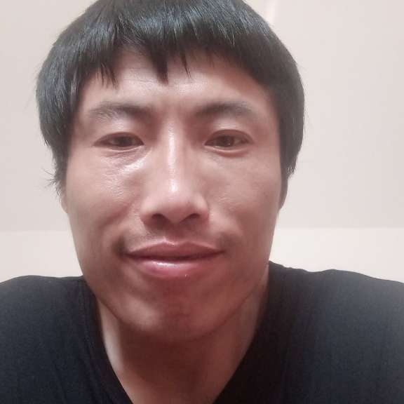 曲奇打尊敬的照片
