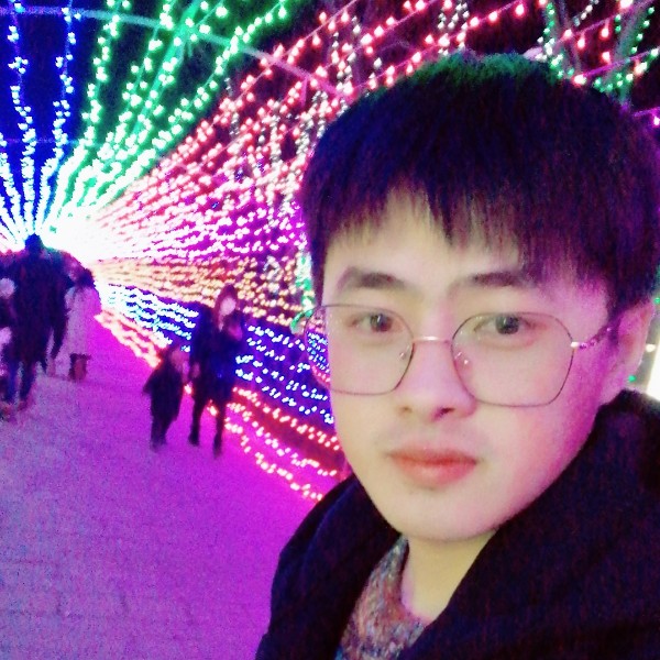 疯狂小海豚的照片