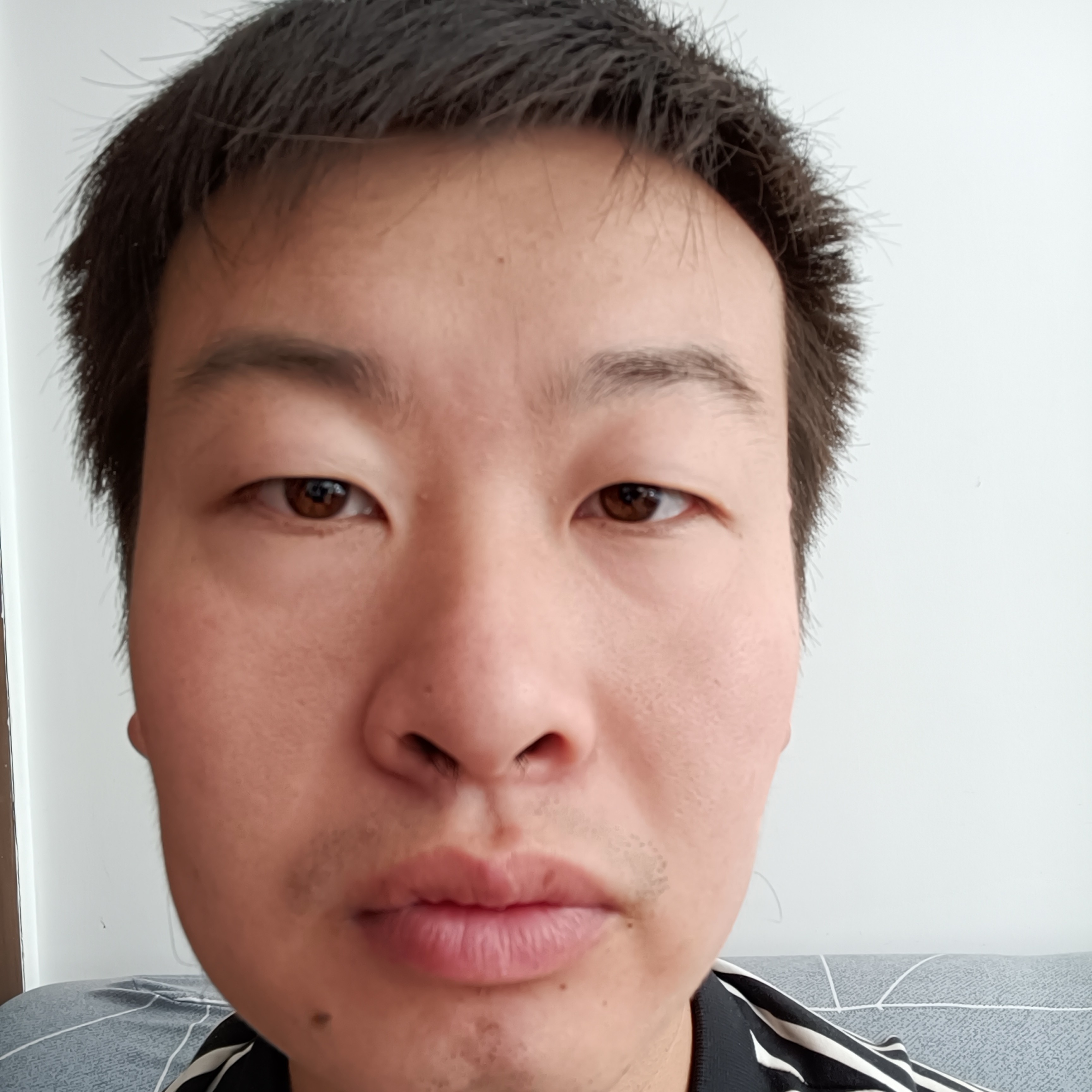 听话爱蚂蚁的照片