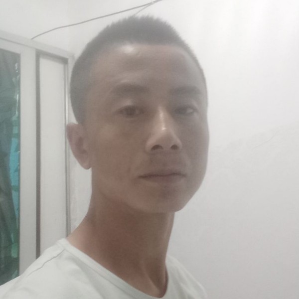 文艺請路灯的照片